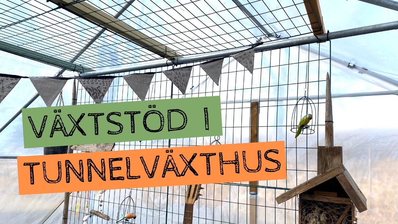 Växtstöd i mitt TUNNELVÄXTHUS - Hur skapar man ett enkelt klätterstöd?