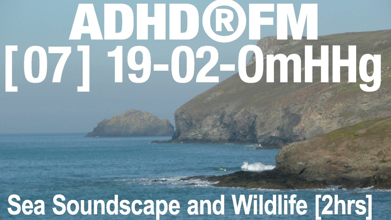 ADHD RELIEF &ndash; Calming Sea Soundscape and Wildlife Atmosphere for Relax and Stress Relief (3 hours)