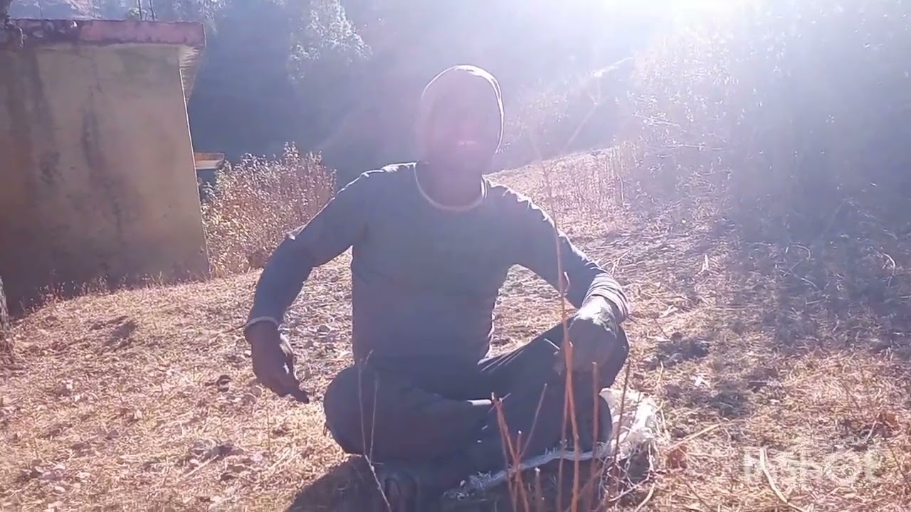 काम के साथ साथ फूल मस्ती मजाक 