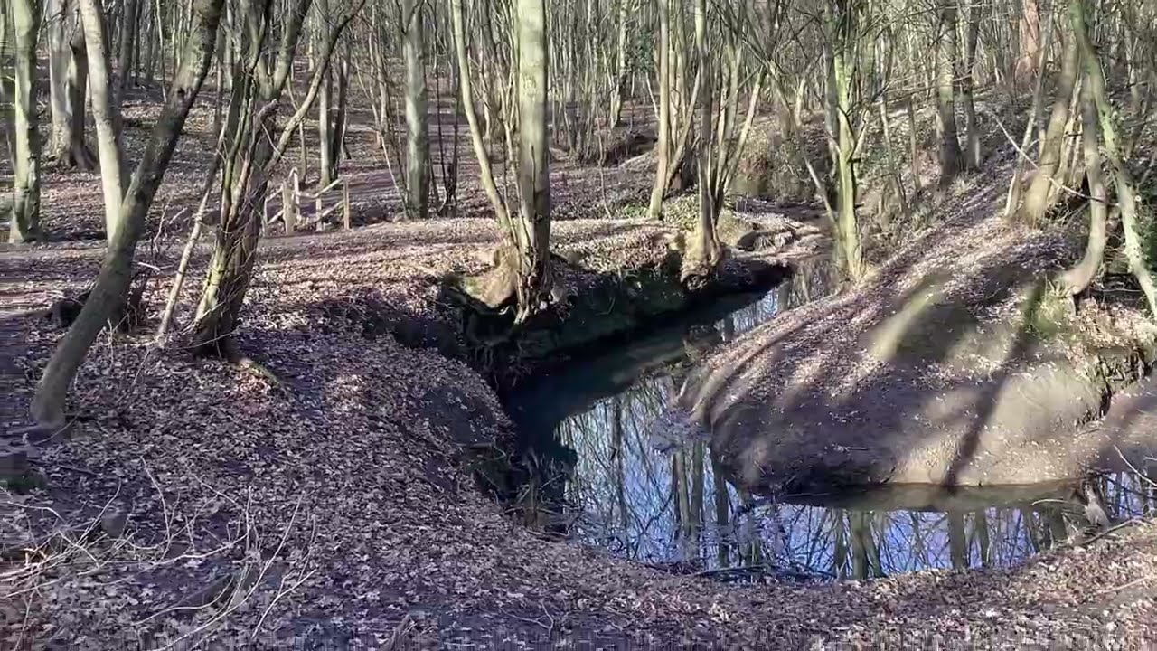 Ingleby Barwick #7 John Walker's walk