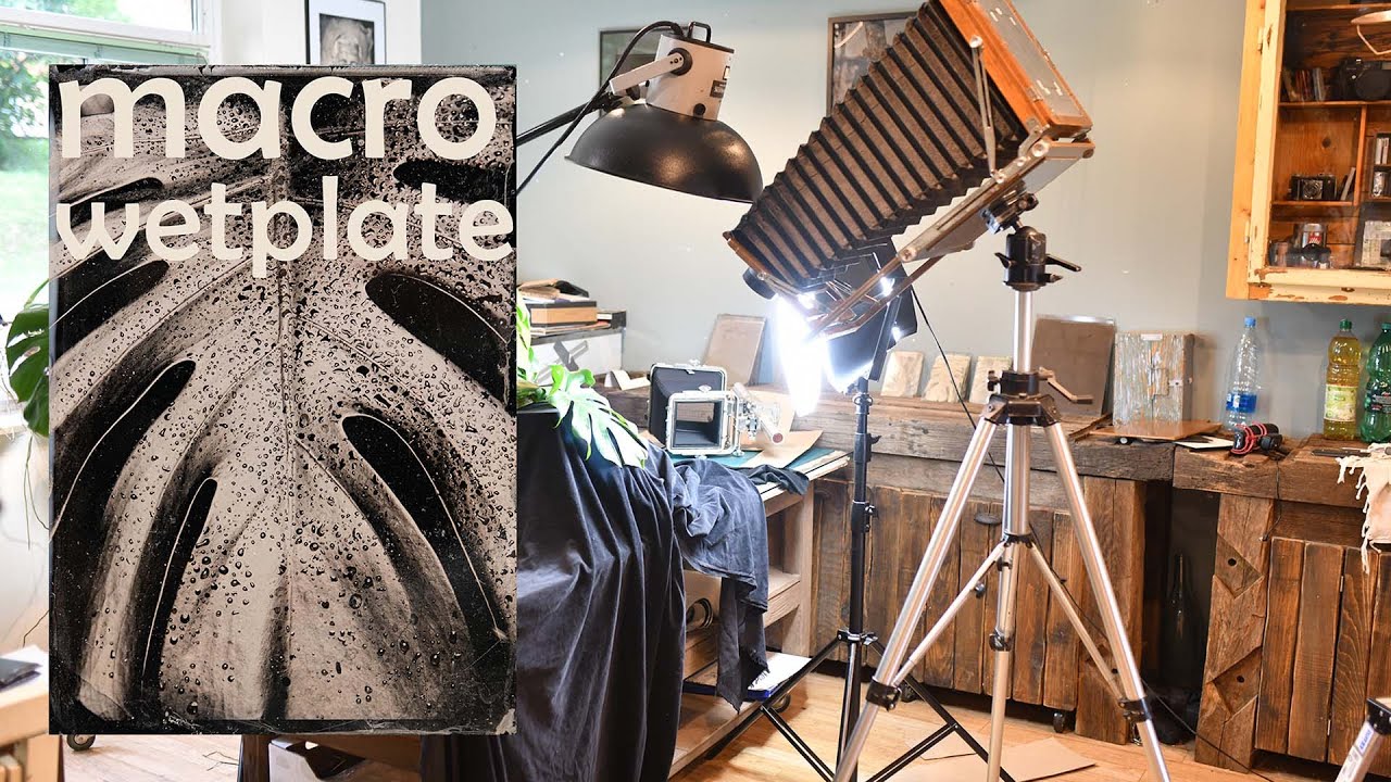 Ultra Large Format, Wetplate, Macro Photography as a Support to an Artist