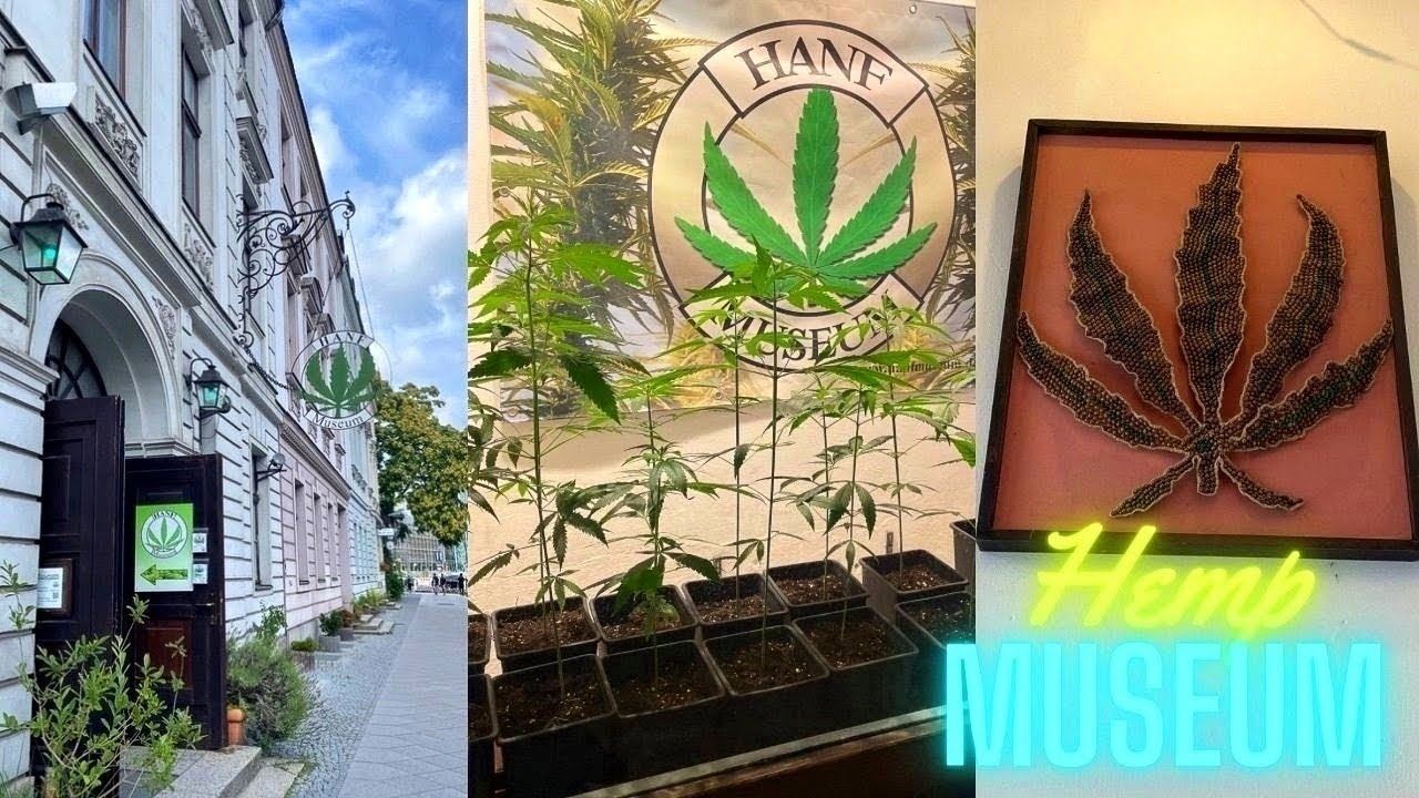 Hemp Museum Berlin | Discover the History of Hemp at Hanf Museum I 4K 🇩🇪🌱