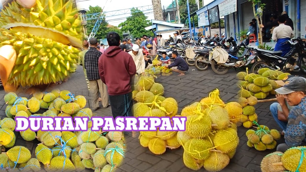 SELASA PAGI DURIAN PASAR PASREPAN MULAI RAMAI sudah ada hrg 10rb durian si koner