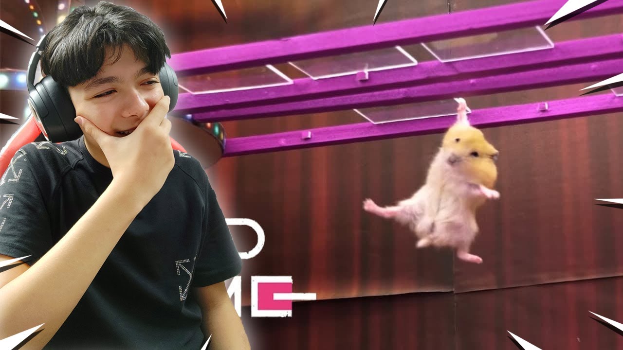 😂 الفئران ضد (لعبة الحبار) * مضحك جدأ * ردة فعل