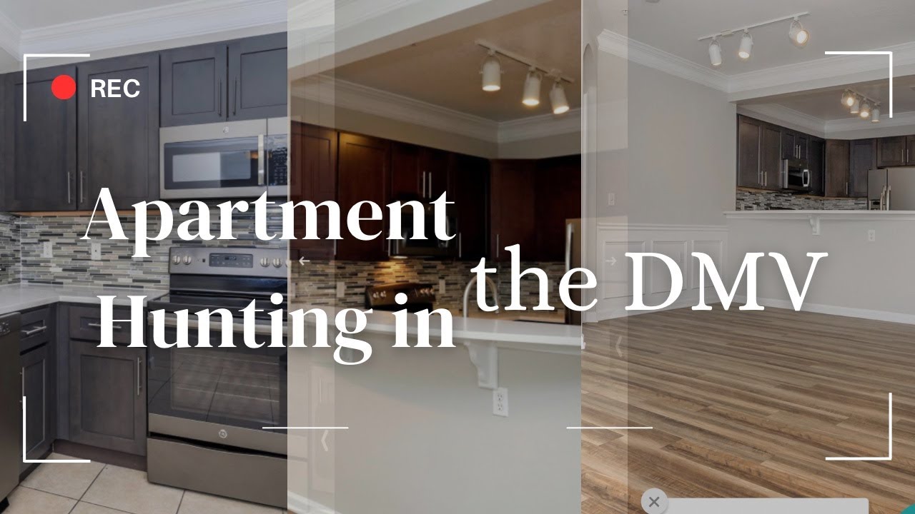 Apartment Hunting in the DMV