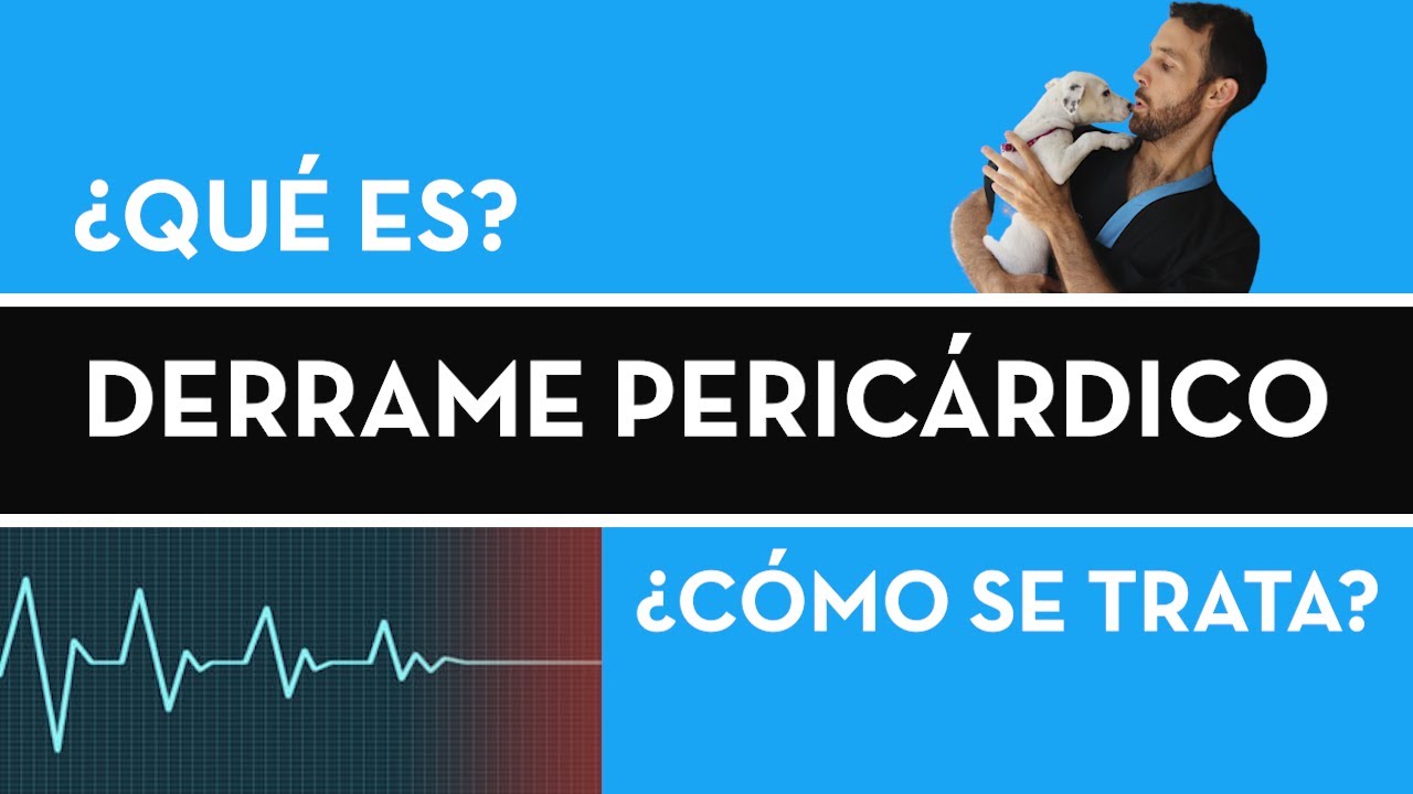 &iquest;QU&Eacute; ES EL DERRAME PERIC&Aacute;RDICO? | CAUSAS Y CONSECUENCIAS.