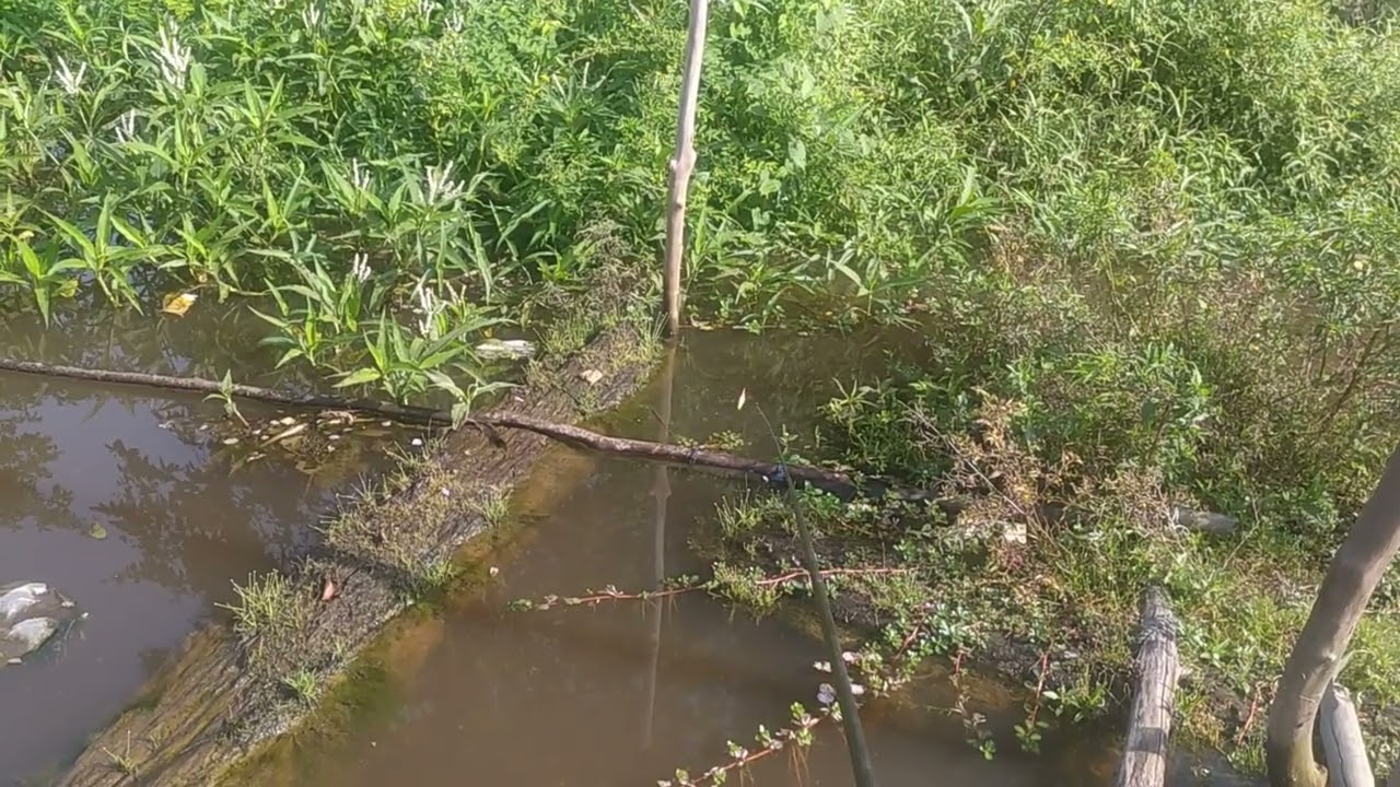 Mancing Pinggiran Sungai Barang Hari 