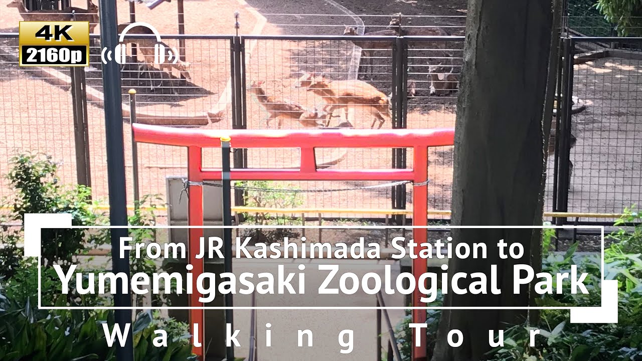 [4K/Binaural Audio] Kashimada Station to Yumemigasaki Zoological Park Walking Tour - Kanagawa Japan