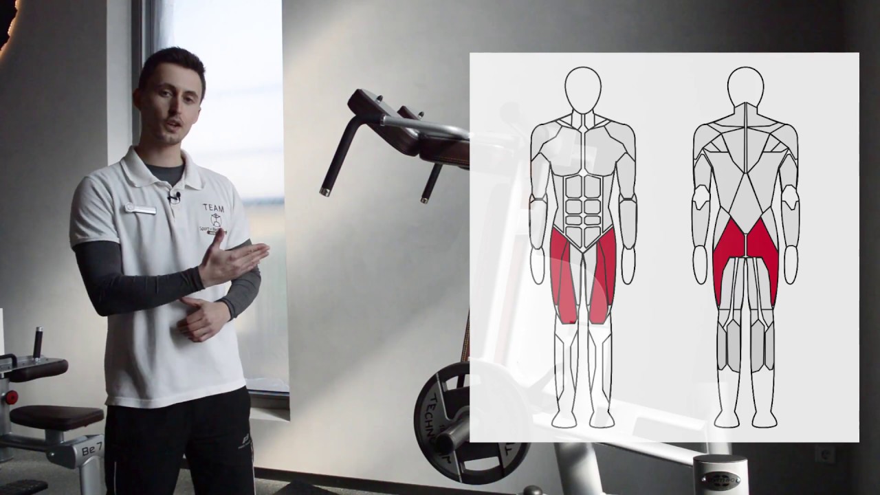 Kniebeuge am Gerät korrekt ausgeführt - Fitness Tutorials