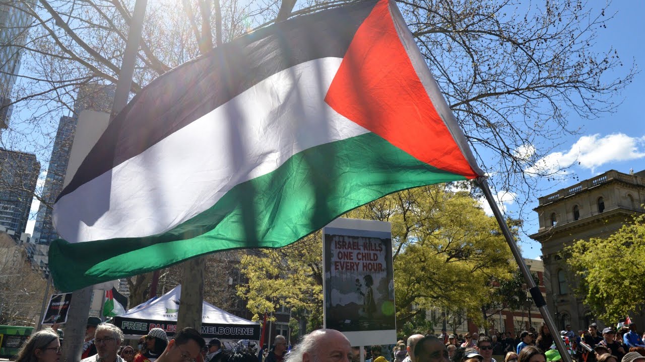 &lsquo;Just don&rsquo;t care&rsquo;: Pro-Palestine rally takes place in Melbourne as state 'ravaged' by fires