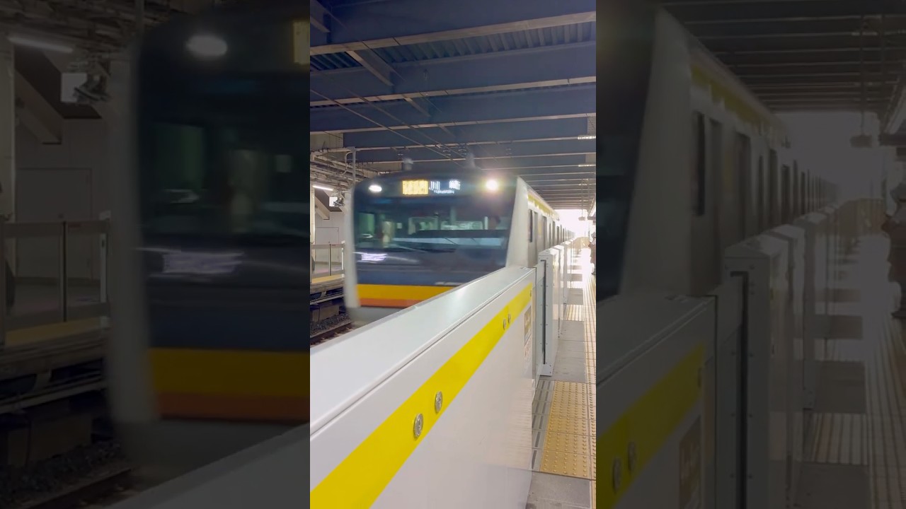JR Nambu Line Train Arriving at Musashi-Kosugi Station Platform in the Evening