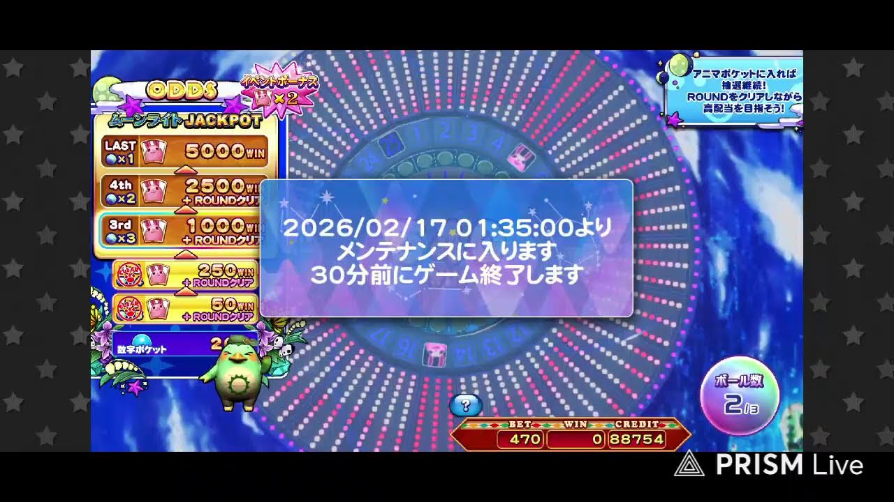【コナステ】まったりアニマ