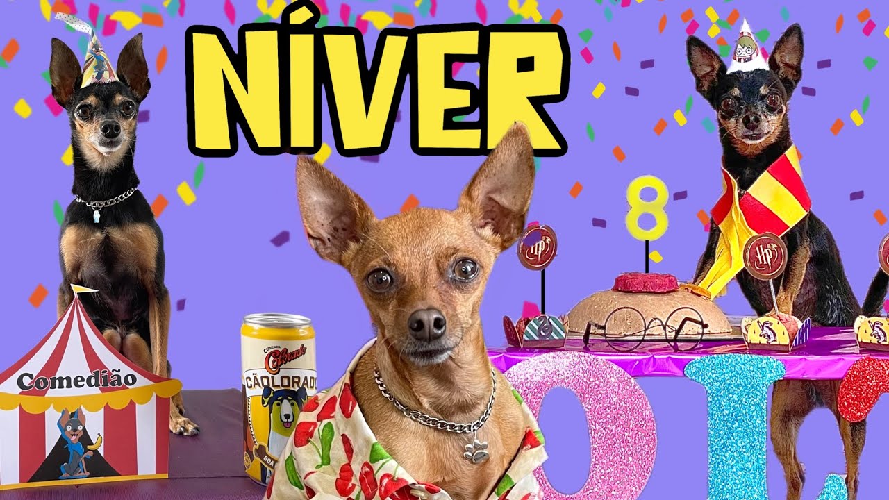 MEGA COMPILADO DOS ANIVERSÁRIOS DOS PEQUENOS PRÍNCIPES