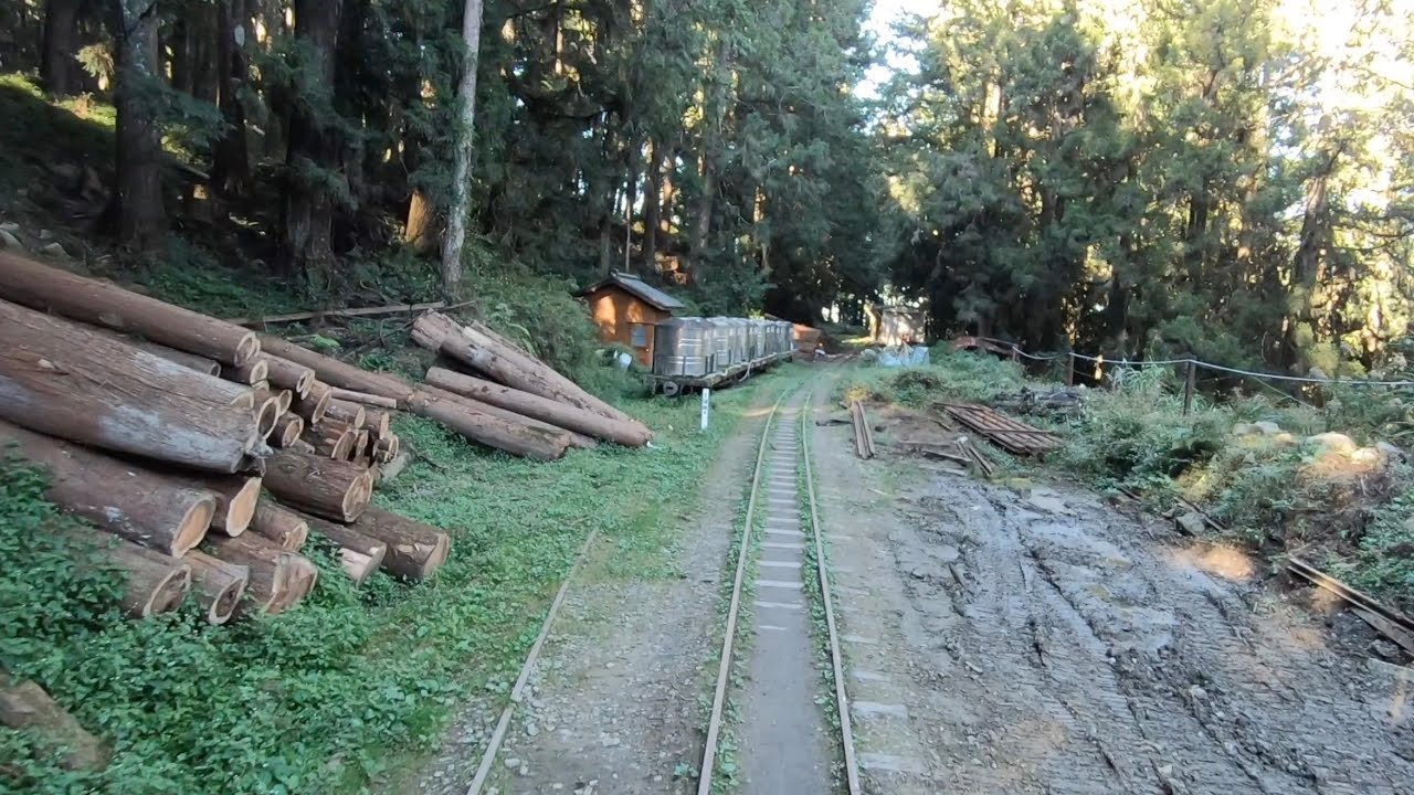 【Alishan Forest Railway】Logging Train Cab Ride (Shuishan Line 水山線)
