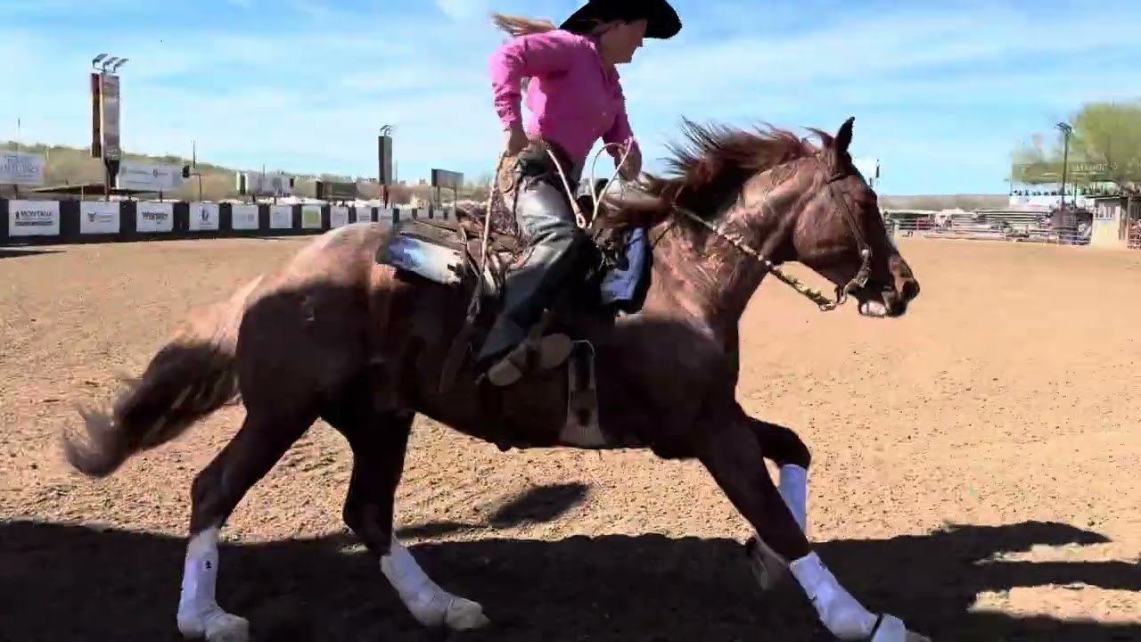 Honky Tonk Dreams worlds greatest Cowgirl finals - reining