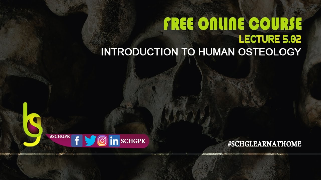 Introduction to Human Osteology  | Lecture 5.02 | SCHG_FOC22_IHO | Taphonomy