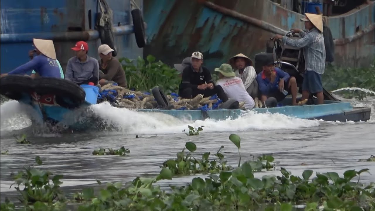 Cảnh cuộc sống người dân nghèo kiếm sống trên sông nhỏ