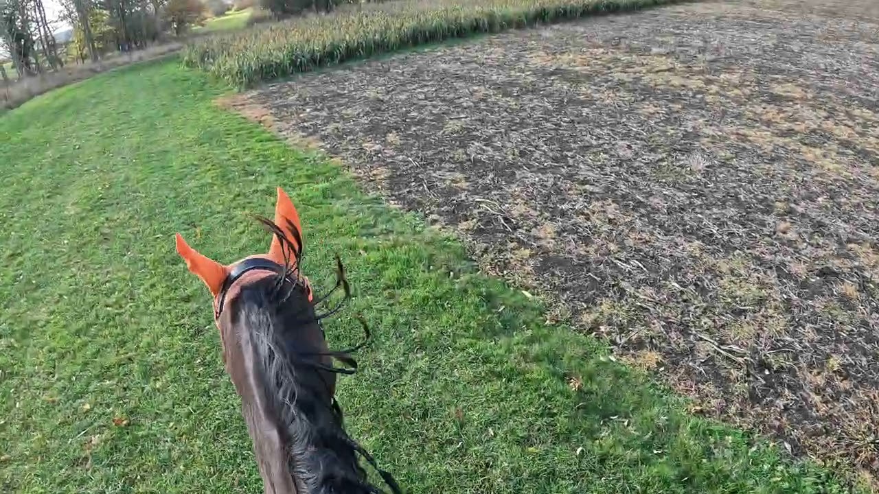 Sunday 2nd November 2025 Hacking 