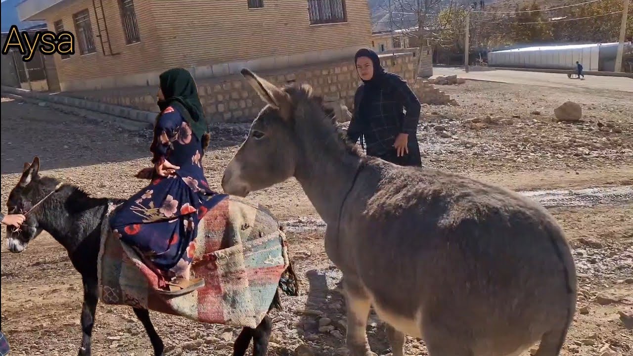 Nomadic adventure: Fahima riding a donkey to the mountain peaks