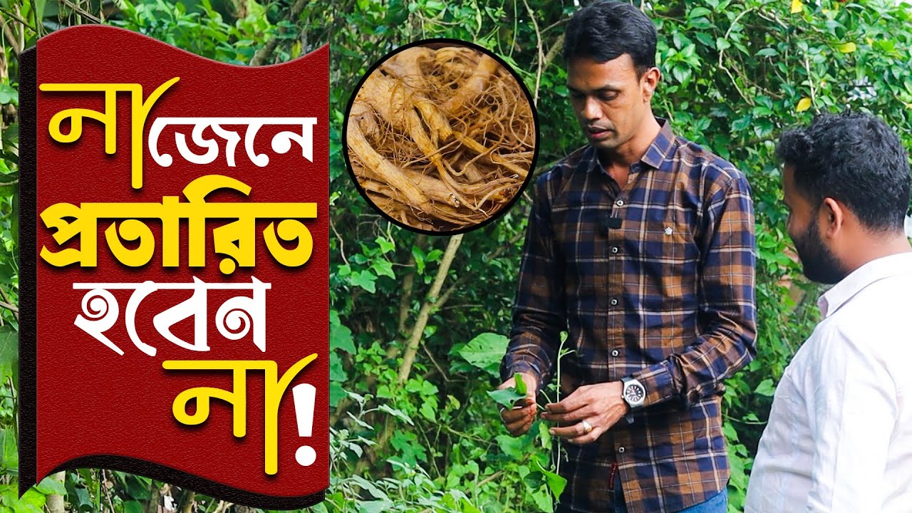 যৌন শক্তি বৃদ্ধির ভেষজ ঔষধ কি জানুন? সকল প্রকার গাছের কবিরাজ ও হেকিমি চিকিৎসা