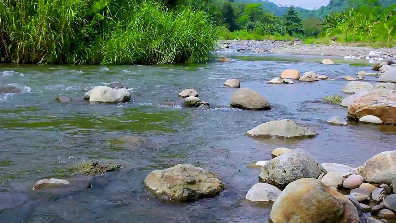 Deep Sleep by a Quiet Mountain River | Relaxing Flowing Water Nature Sounds