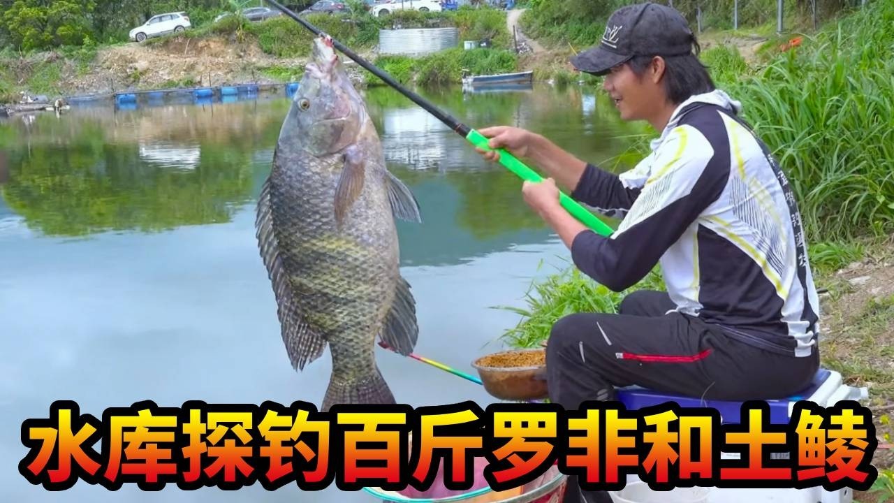 钓友介绍水库20斤的大罗非和10斤的大土鲮，这次是真的惨！ #钓罗非 #游钓黑坑 #户外钓鱼 #水库