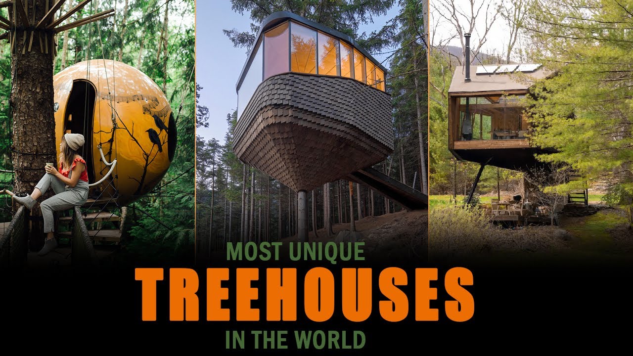 10 Best Treehouse Hotels For Unique Experience