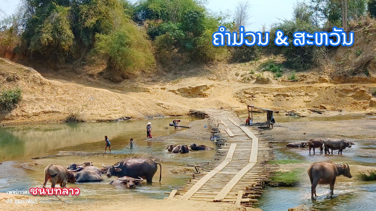ไม่คิดว่าจะเจอหมู่บ้านที่สวยงามแบบนี้ สพานไม้ข้ามเชน้อย คำม่วน & สะหวันนะเขต