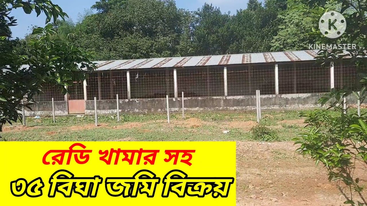 ৩৫ বিঘা কৃষি জমি বিক্রি।। কাওরাইদ শ্রীপুর গাজীপুর#assetseller#Landsale Sreepur Gazipur