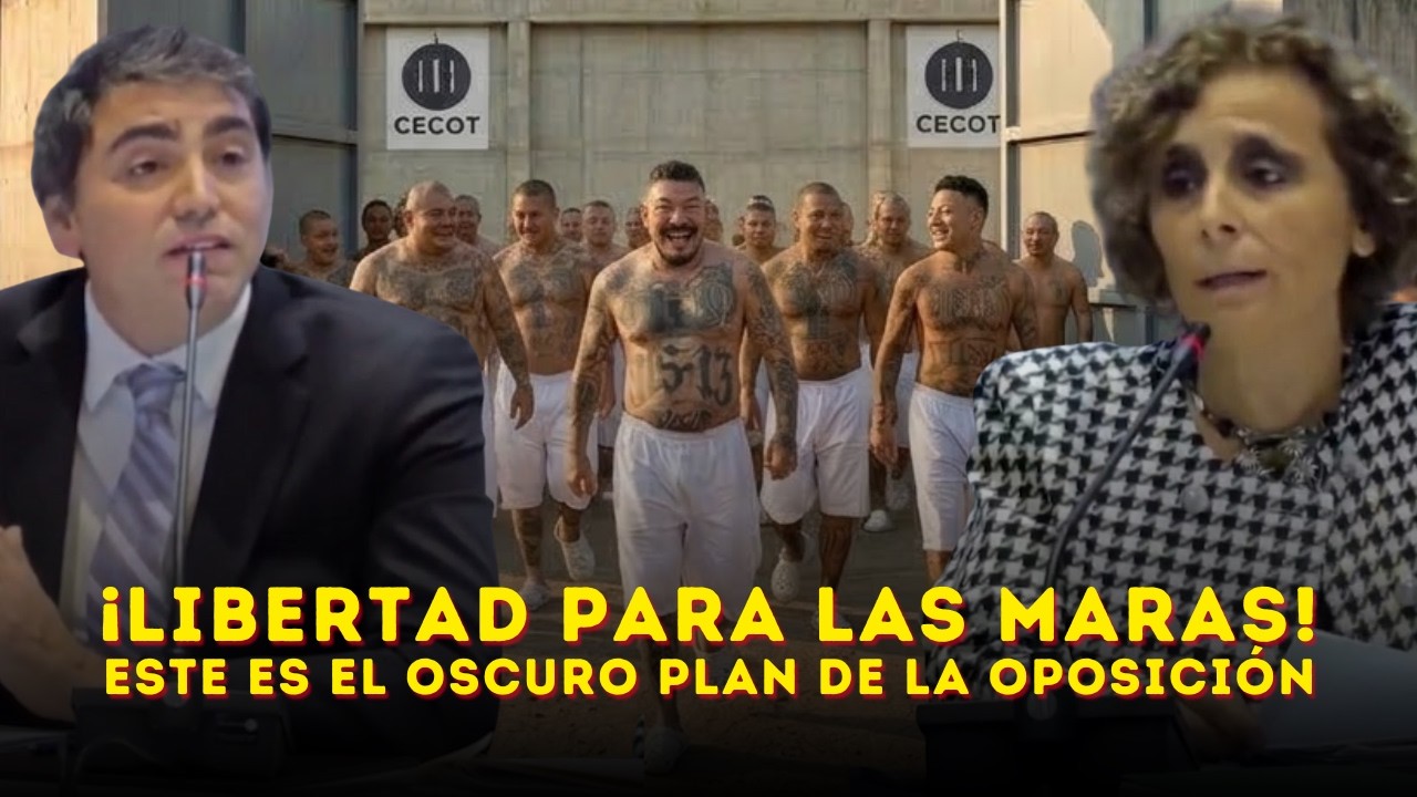 ¡CONFESARON TODO! Quieren liberar a los 90,000 pandilleros