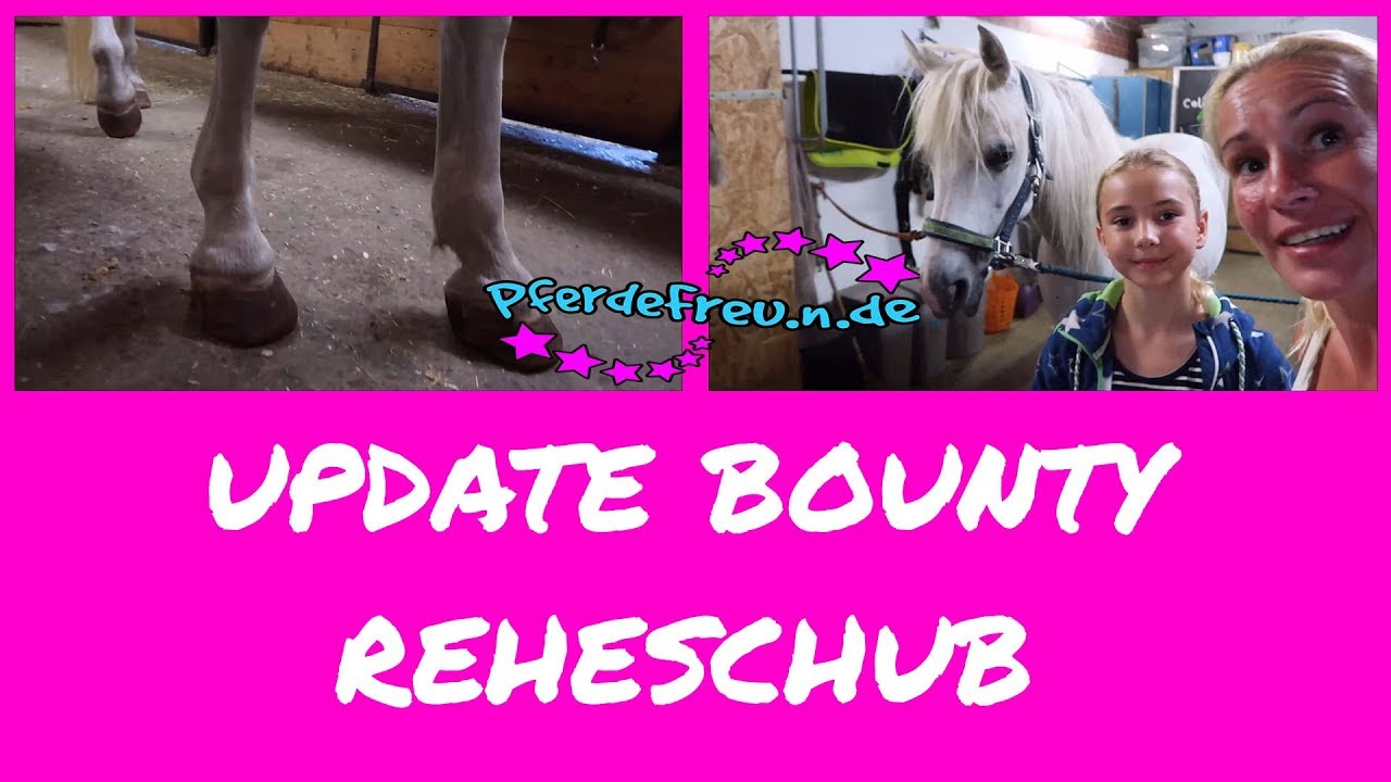 Update Bounty [ Pferde Freu.n.de ] Reheschub beim Pony
