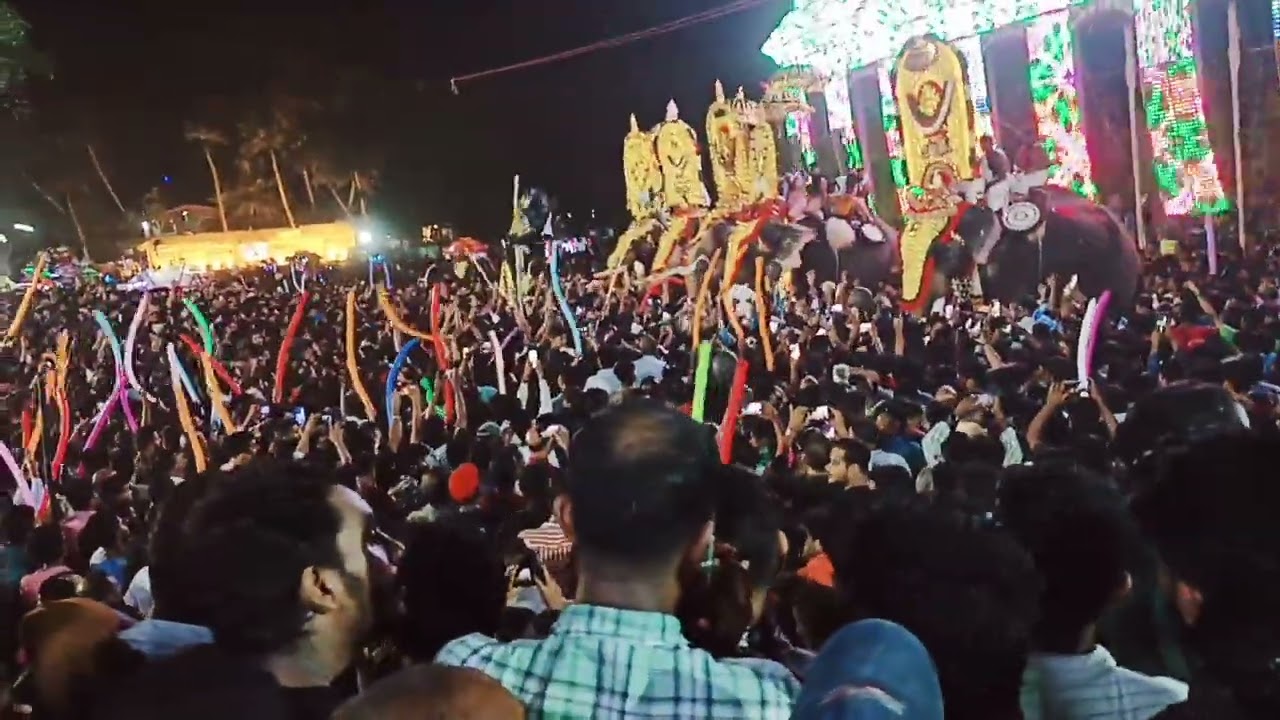 aana pooram , perugottukaraa #aana #aanapremi #hindu #kerala #pooram #india