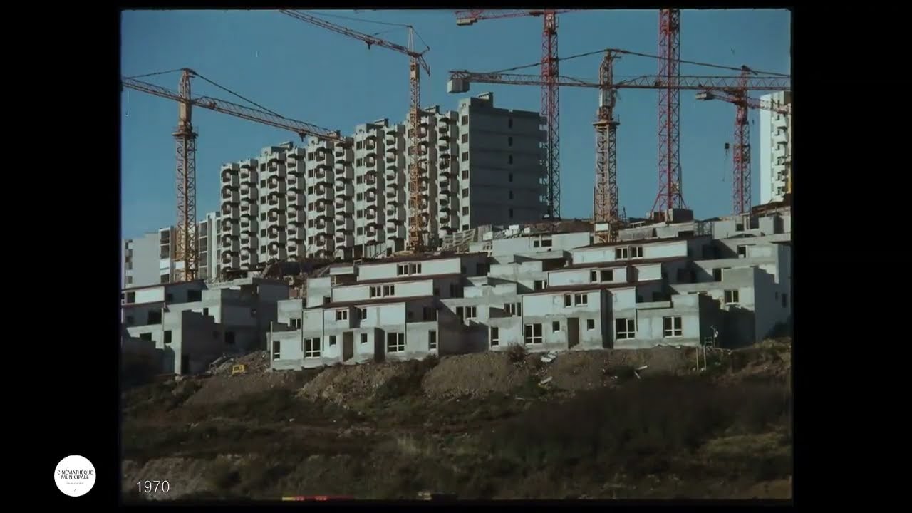 La vie des Cotonne-nous