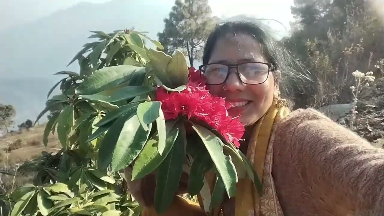 आज बनाया हमने बुरास के फूलों का जूस इन जंगलों में भालू रहते हैं 👍👍👍👍
