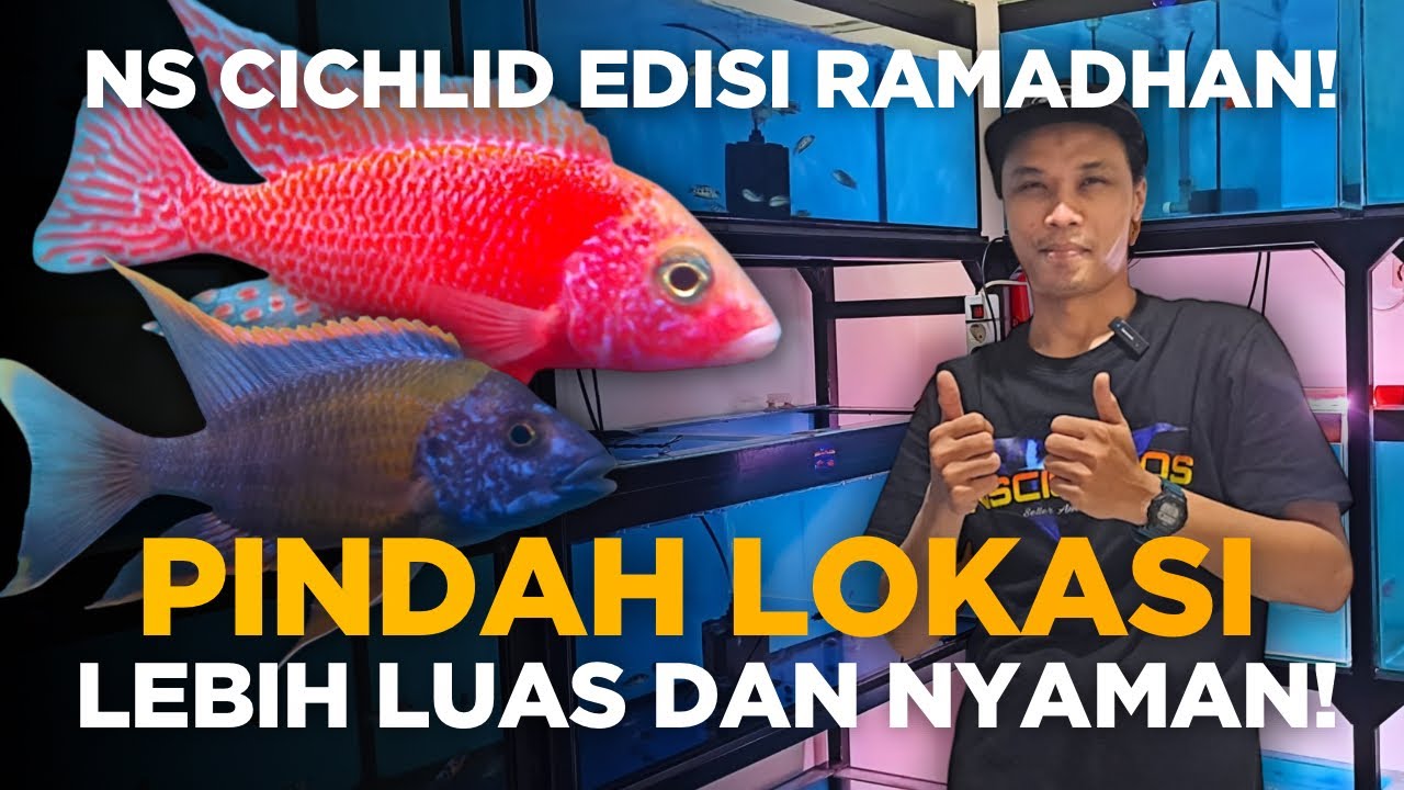 NEW LOCATION NS CICHLID AQUATICS LEBIH LUAS DAN NYAMAN UNTUK PEMBELI YANG  MAU DATANG#EDISI RAMADHAN