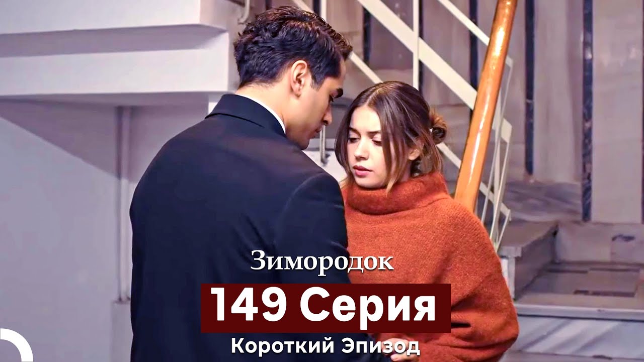 Зимородок 149 Cерия (Короткий Эпизод) (Русский дубляж)