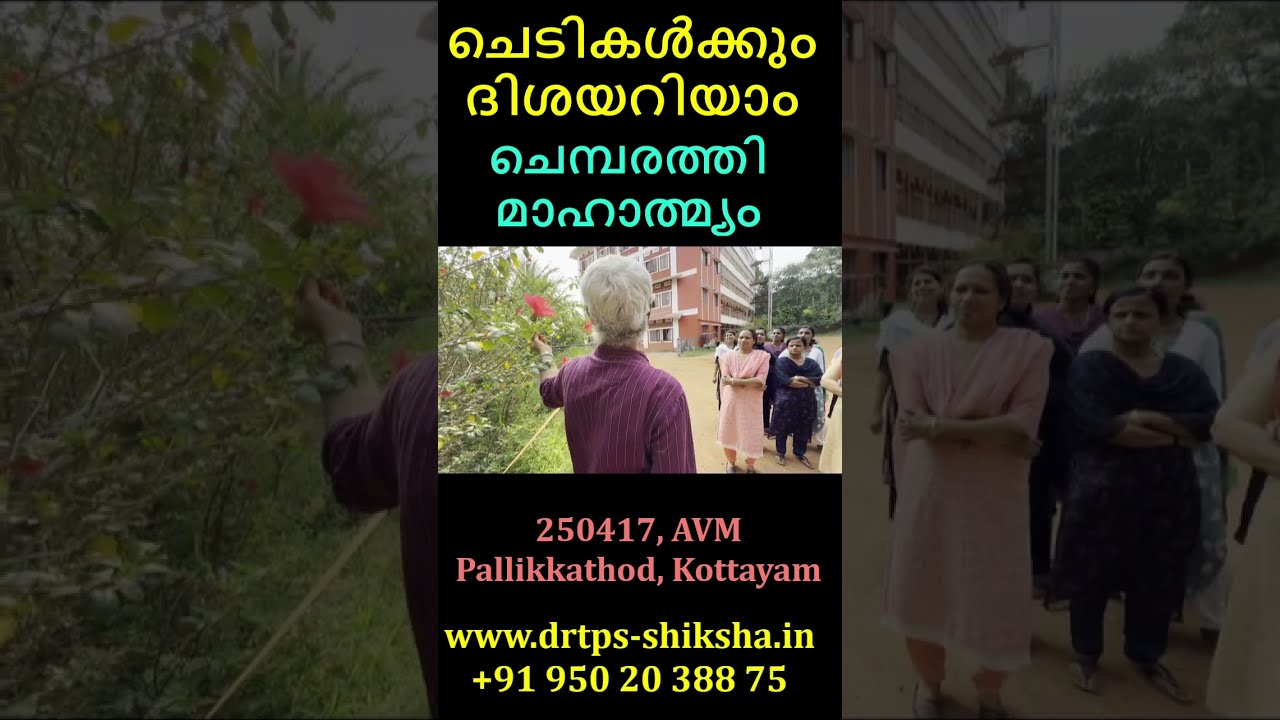 250417, ചെമ്പരത്തി മാഹാത്മ്യം, ചെടികൾക്കും  ദിശയറിയാം, AVM, Pallikkathod, Kottayam, DrTPS