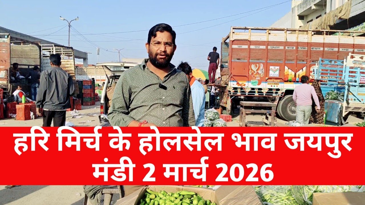 2 मार्च 2026 हरि मिर्च का भाव | मिर्च के भाव जयपुर mandi / vegetable market Jaipur 