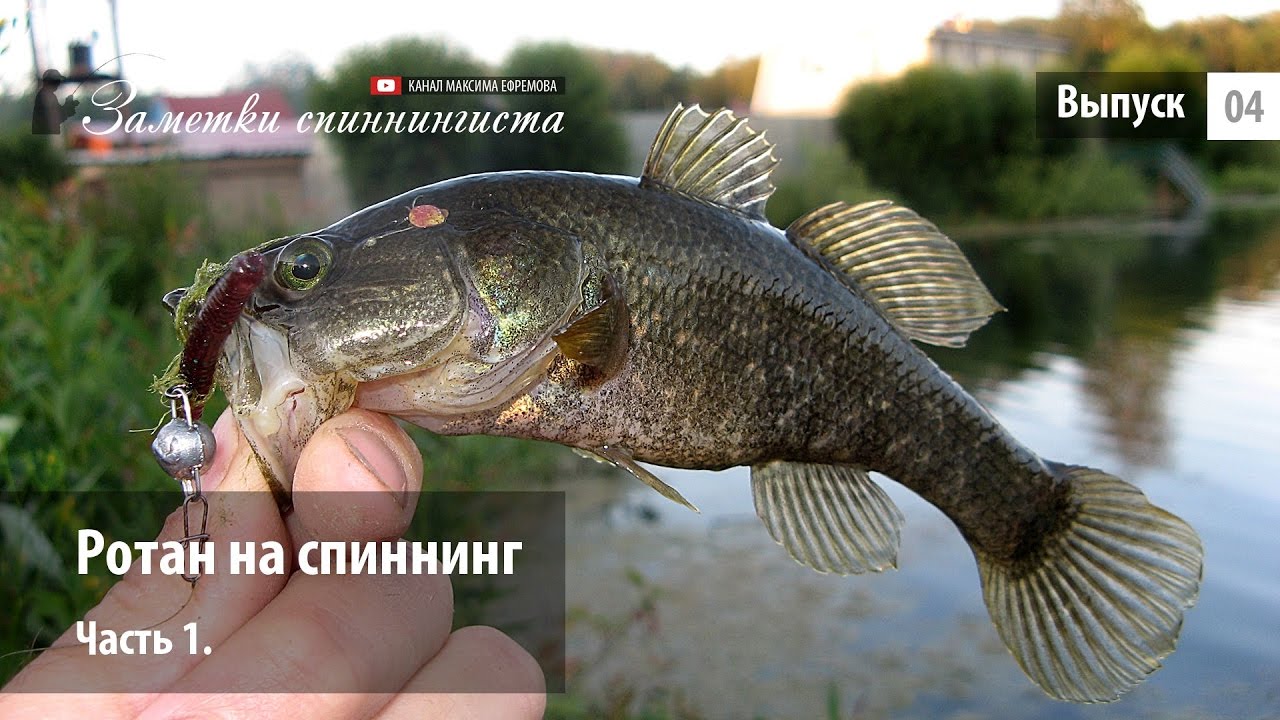 Ротан на спиннинг