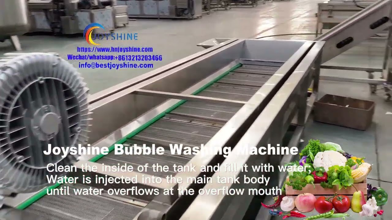 vegetable and fruit bubble washing machine | leafy vegetable washer sale | fruit washer |food washer