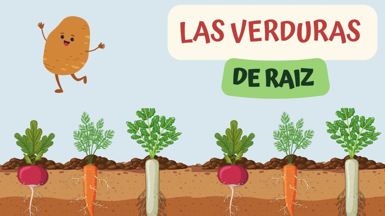 LAS VERDURAS DE RAIZ, VIDEO ECUCATIVO PARA NIÑOS.