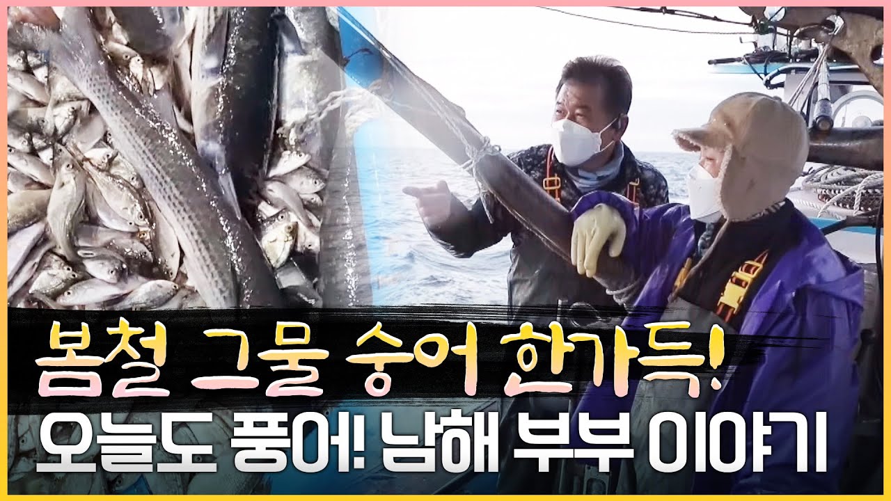 배 하나로 동업하는 부부!! 이젠 환상호흡이닷!!! 남해는 매일이 보물창고네~ ^^ 보물상자와 같은 남해 앞바다 아귀는 사이즈가 대박이야! #남해 #숭어 #아귀