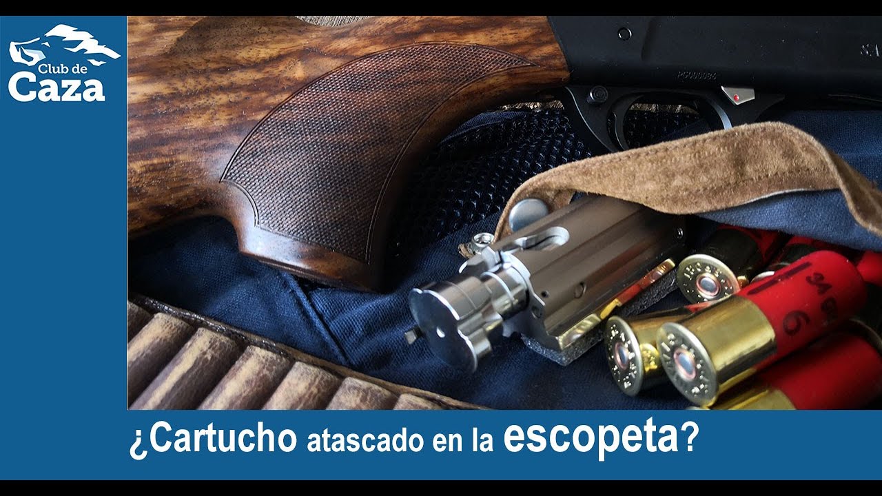 Extraer un cartucho atascado en la escopeta semiautomática: tan sencillo como esto