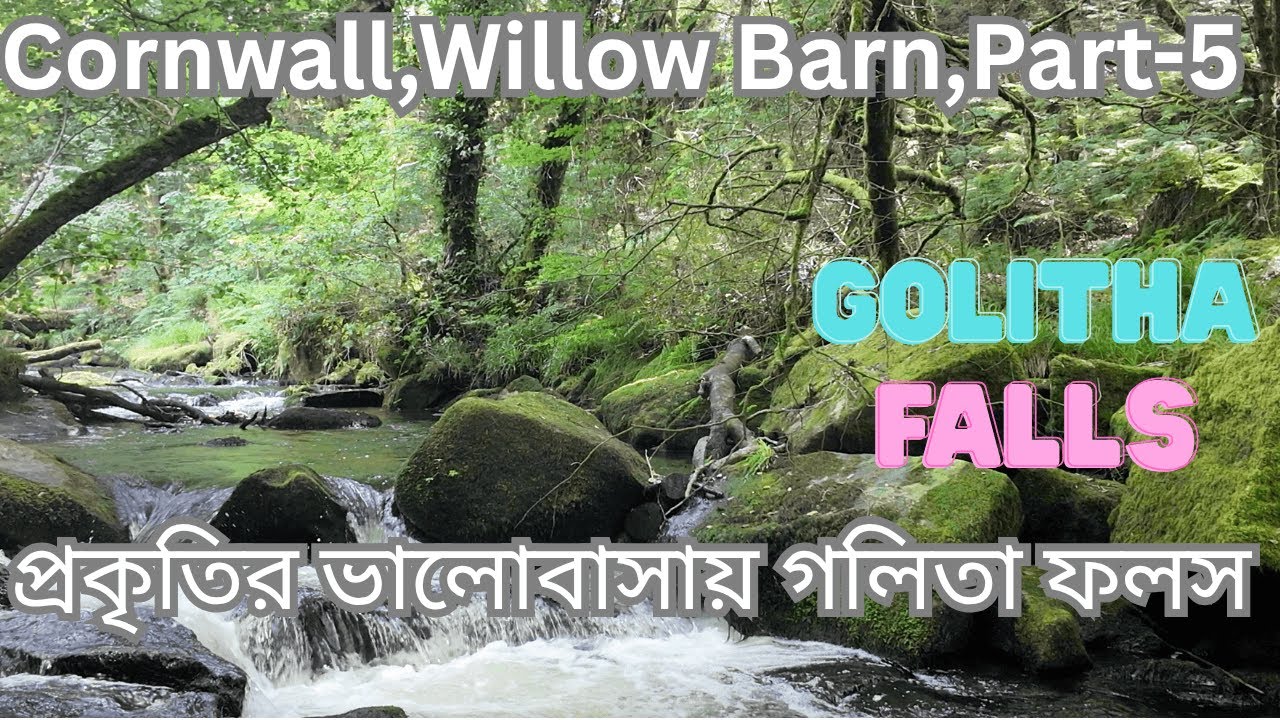 Big Family Holiday in cornwall || Part-5, Beauty of Golitha Falls,প্রকৃতির ভালোবাসায় গোলিথা ফলস
