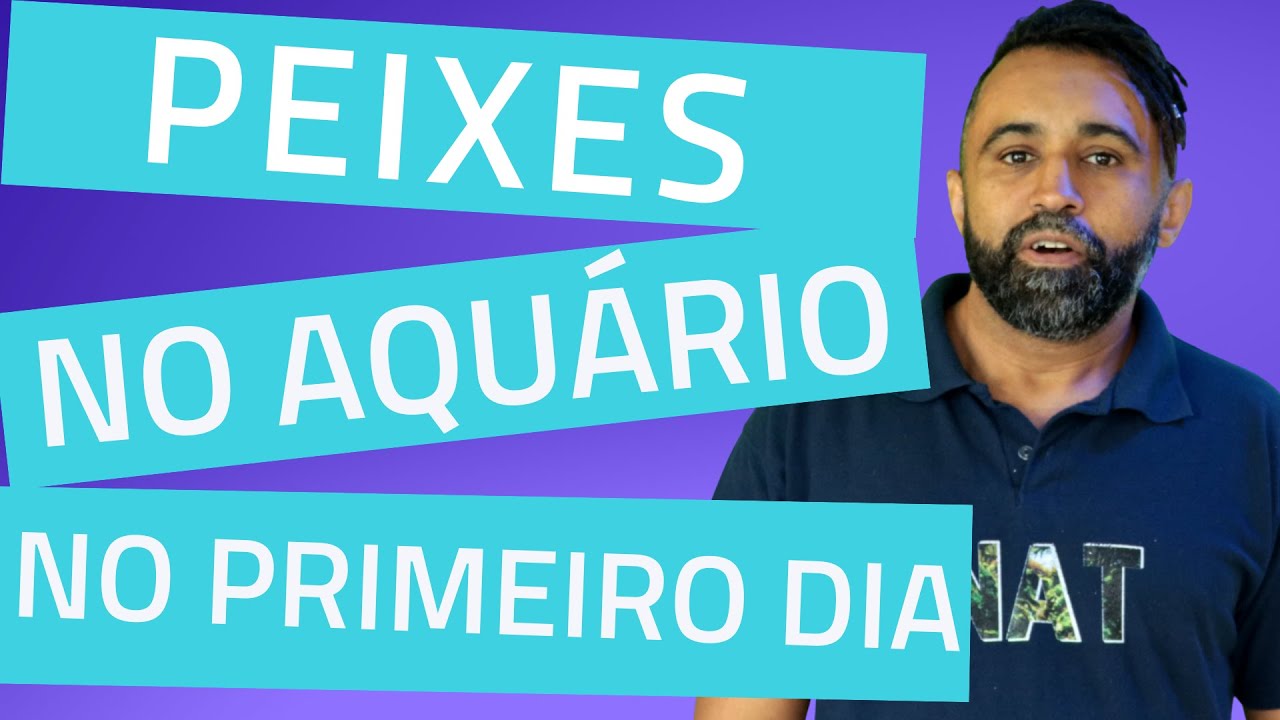 O Que São Aceleradores Biológicos?