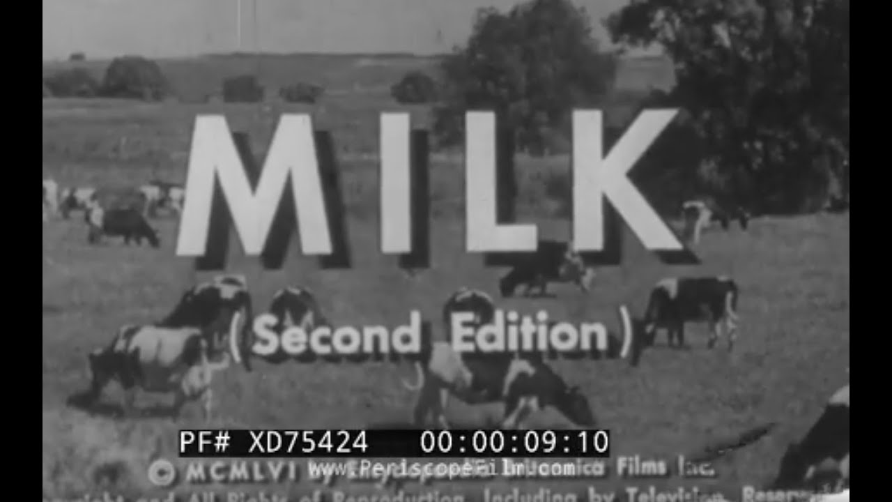 “MILK” 1950s EDUCATIONAL FILM   HISTORY OF AMERICAN DAIRY INDUSTRY   MILK & CHEESE  XD75424