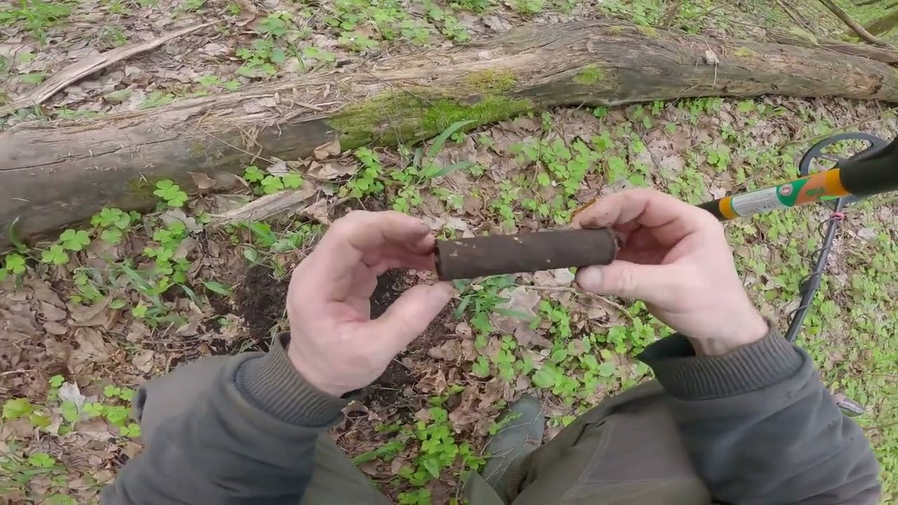 Niedzielny wypad do lasu z Rutus Versa i Alter 71