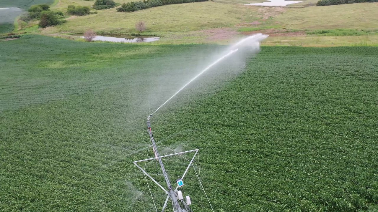Irrigating Soybeans 21&rsquo;