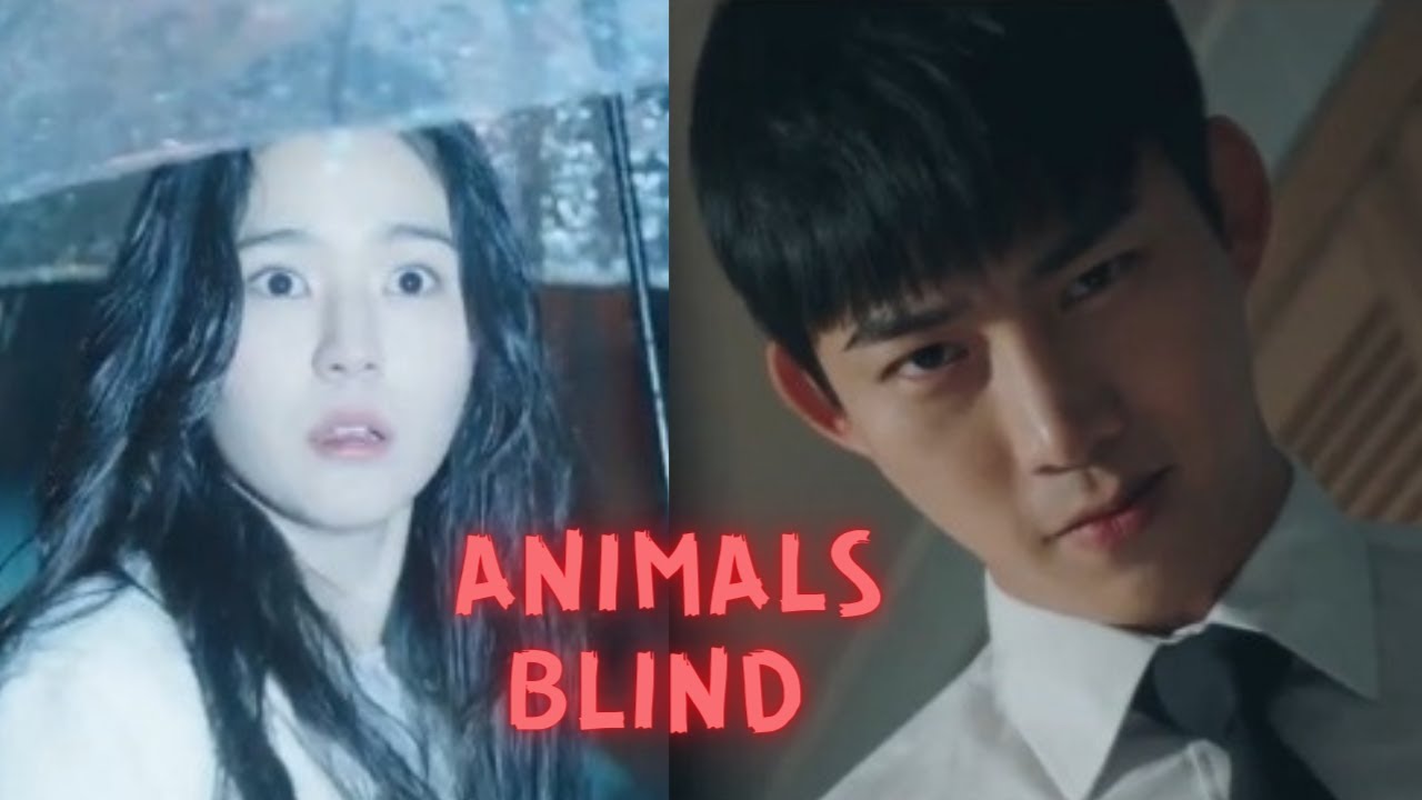 Blind| Animals | Korean drama | [ FMV]