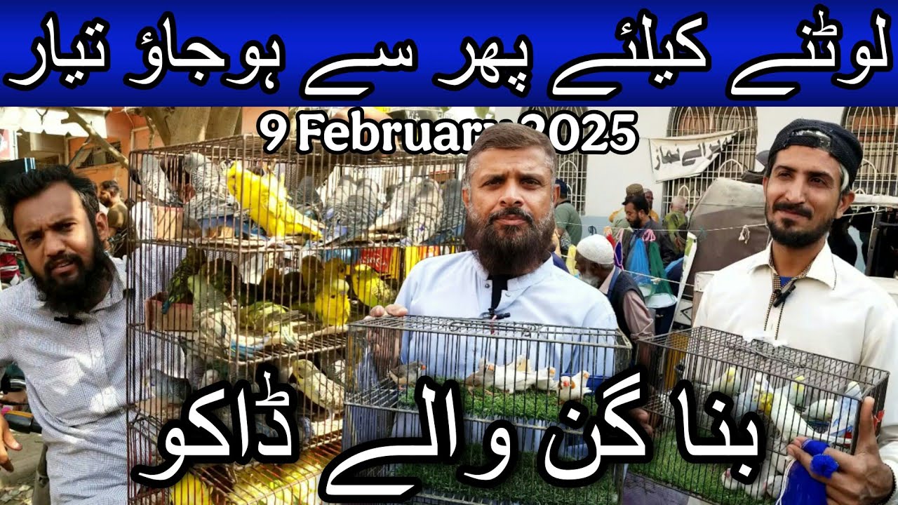 Lalukhet birds market part 2 February 9, 2025 | Cheapest price birds market in karachi pakistan